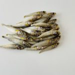 Little Fish - 100g