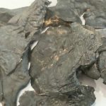 Chicken Liver Australian Liver-100G