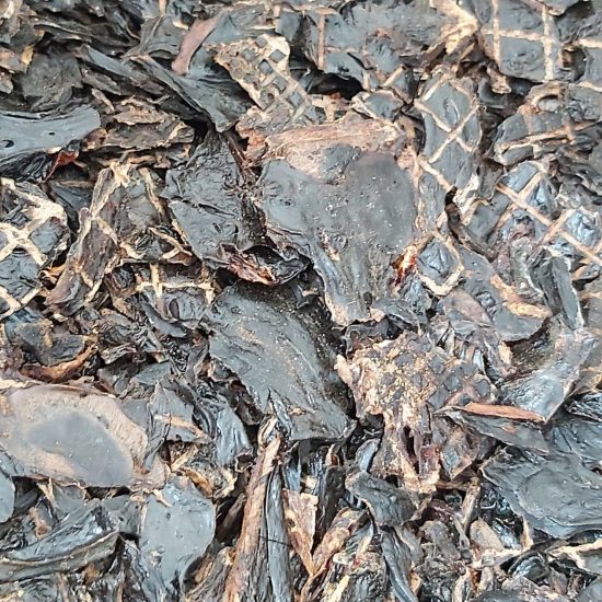 KANGAROO LIVER 100G