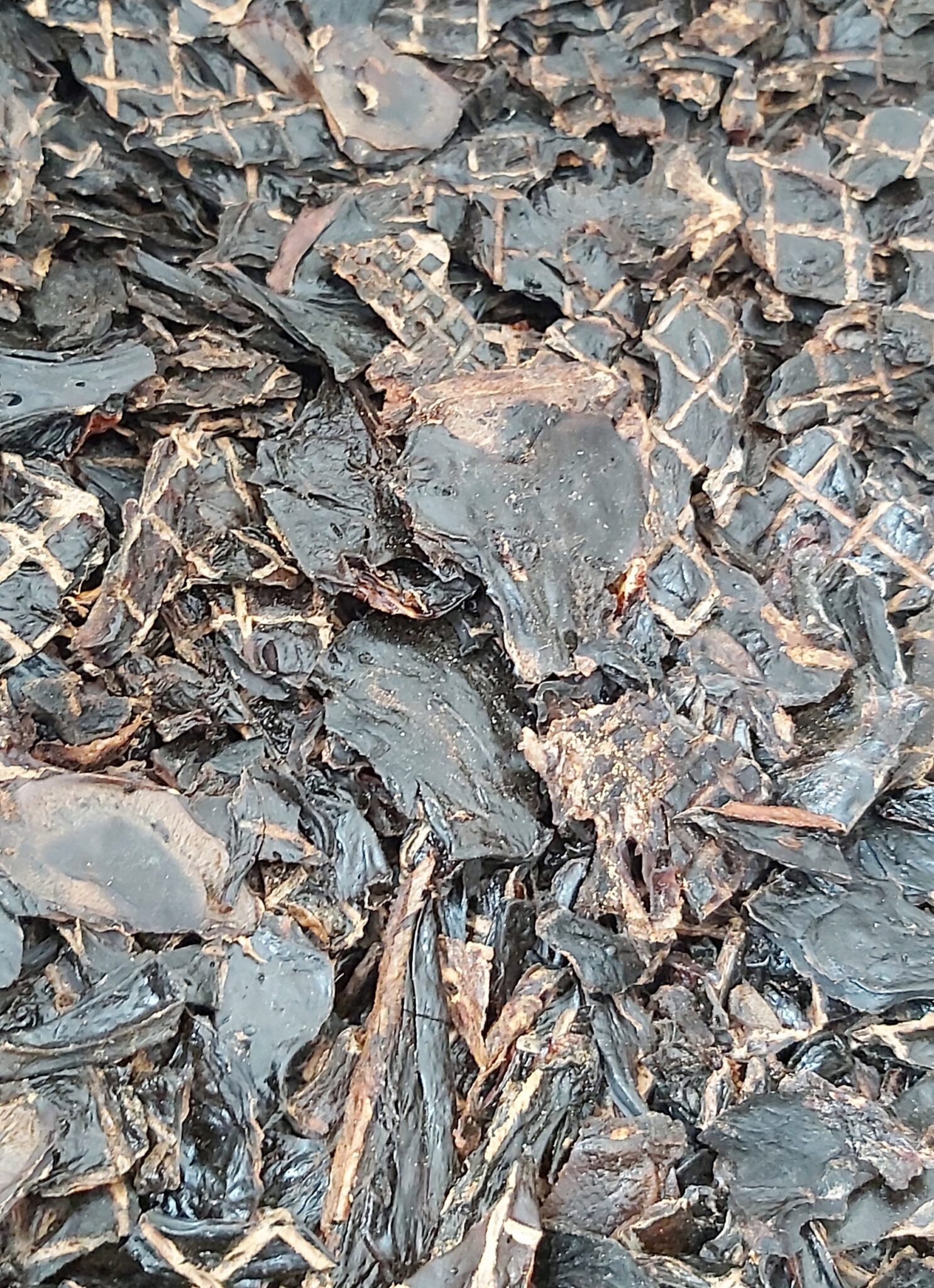 KANGAROO LIVER 100G